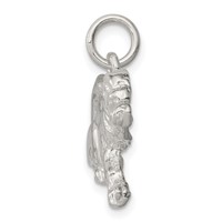 Sterling Silver Tiger Charm view 2