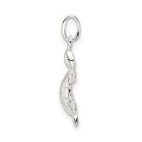 Sterling Silver Polished Turtle Charm view 2