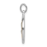 Sterling Silver Platinum-plated & Gold-tone St Peregrine Medal view 2