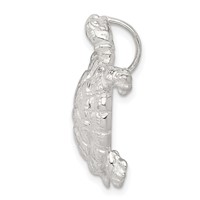 Sterling Silver Turtle Charm view 2