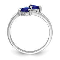 Sterling Silver Rhodium-plated Dark Sapphire & Diamond Heart Ring view 2