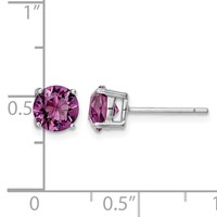 Sterling Silver Rhodium-plated Purple Crystal Birthstone Earrings view 4