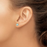 Sterling Silver Rhodium-plated Polished 6mm Round Larimar Post Earrings view 3
