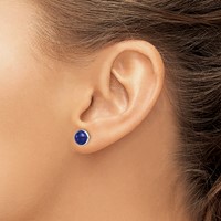 Sterling Silver Rhodium-plated 7mm Lapis Post Earrings view 3