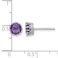 Sterling Silver Rhodium-plated 6mm Polished Amethyst Post Earrings view 4