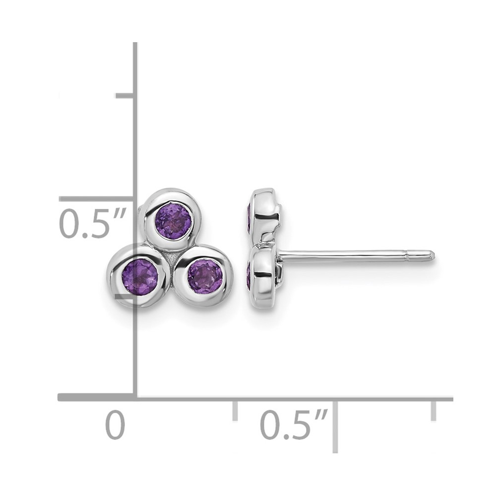 Sterling Silver Rhodium-plated Amethyst Post Earrings (QE17758AM)