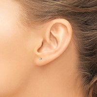 Sterling Silver Polished 2mm Ball Earrings view 3