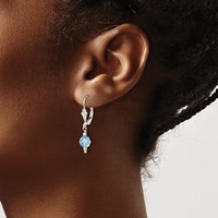 Sterling Silver Blue Crystal Leverback Earrings view 3