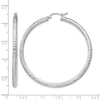 Sterling Silver Rhodium-plated D C 3x50mm Hoop Earrings view 4