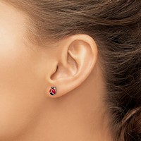 Sterling Silver Polished Red Black Enameled Ladybug Post Earrings view 3
