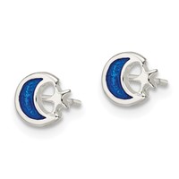 Sterling Silver Polished Blue Enamel Moon & Star Post Earrings view 2