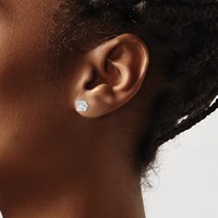 Sterling Silver Polished Princess 6mm CZ Snap Set Stud Earrings view 3