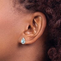 Sterling Silver Rhodium Plated Diamond & Aquamarine Post Earrings view 3
