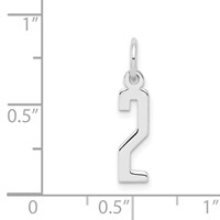 Sterling Silver Rhodium-plated Elongated Polished Number 2 Charm view 3