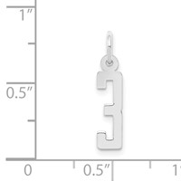 Sterling Silver Rhodium-plated Elongated Polished Number 3 Charm view 3