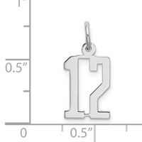 Sterling Silver Rhodium-plated Elongated Number 12 Charm view 3