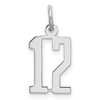Sterling Silver Rhodium-plated Elongated Number 12 Charm view 1