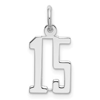 Sterling Silver Rhodium-plated Elongated Number 15 Charm view 1