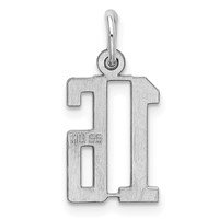 Sterling Silver Rhodium-plated Elongated Number 16 Charm view 4
