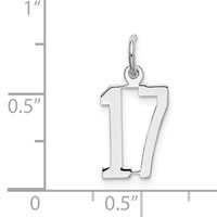 Sterling Silver Rhodium-plated Elongated Number 17 Charm view 3