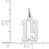 Sterling Silver Rhodium-plated Elongated Number 19 Charm view 3