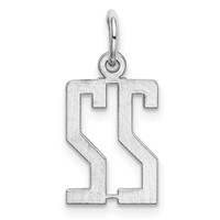 Sterling Silver Rhodium-plated Elongated Number 22 Charm view 4