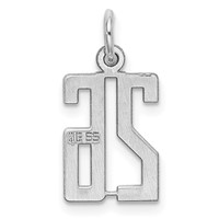 Sterling Silver Rhodium-plated Elongated Number 26 Charm view 4