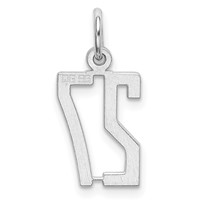Sterling Silver Rhodium-plated Elongated Number 27 Charm view 4