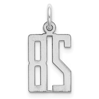 Sterling Silver Rhodium-plated Elongated Number 28 Charm view 4