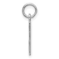 Sterling Silver Rhodium-plated Elongated Number 29 Charm view 2