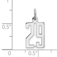 Sterling Silver Rhodium-plated Elongated Number 29 Charm view 3