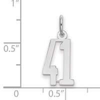 Sterling Silver Rhodium-plated Elongated Number 41 Charm view 2