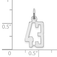 Sterling Silver Rhodium-plated Elongated Number 43 Charm view 3