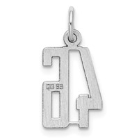 Sterling Silver Rhodium-plated Elongated Number 46 Charm view 4