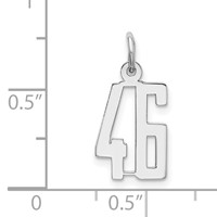 Sterling Silver Rhodium-plated Elongated Number 46 Charm view 3