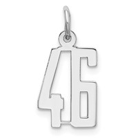 Sterling Silver Rhodium-plated Elongated Number 46 Charm view 1