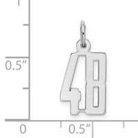 Sterling Silver Rhodium-plated Elongated Number 48 Charm view 3