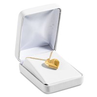 1/20 14K Gold Filled Polished Front Satin Back Diamond Star 20mm Heart Locket Necklace, 18" view 5