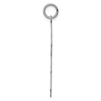 SSilver Rh-plt Engravable Boy Boy Polished Front Satin Back Disc Charm view 2