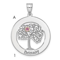 SSilver Rhod-plated 1 Birthstone Pendant with 14K Bezel Family view 1