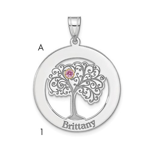 SSilver Rhod-plated 1 Birthstone Pendant with 14K Bezel Family