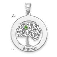 SSilver Rhodium-plated 1 Birthstone Pendant with SSilver Bezel Family view 1