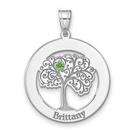 SSilver Rhodium-plated 1 Birthstone Pendant with SSilver Bezel Family view 2