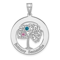 Sterling Silver Rhodium-plated 2 Birthstone W SSilver Bezel Pendant view 2