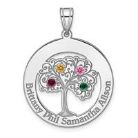 SSilver Rhodium-plated 4 Birthstone Pendant with SSilver Bezel Family view 2
