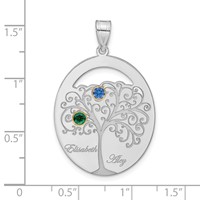 Sterling Silver Rhod-plated 2 Birthstone Pendant with 14K Bezel Family view 3