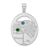 Sterling Silver Rhod-plated 2 Birthstone Pendant with 14K Bezel Family view 2