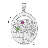 SSilver Rhod-plated 2 Birthstone Pendant with SSilver Bezel Family view 1