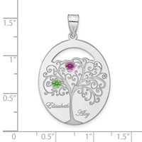 SSilver Rhod-plated 2 Birthstone Pendant with SSilver Bezel Family view 3