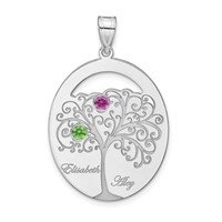 SSilver Rhod-plated 2 Birthstone Pendant with SSilver Bezel Family view 2